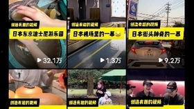 昆明海豚湾爆料视频大全,揭秘幕后真相与精彩瞬间