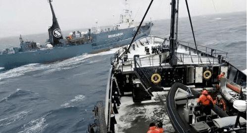 日本人捕鲸爆料视频大全,日本人捕鲸行为全记录 第1张 日本人捕鲸爆料视频大全,日本人捕鲸行为全记录 第1张